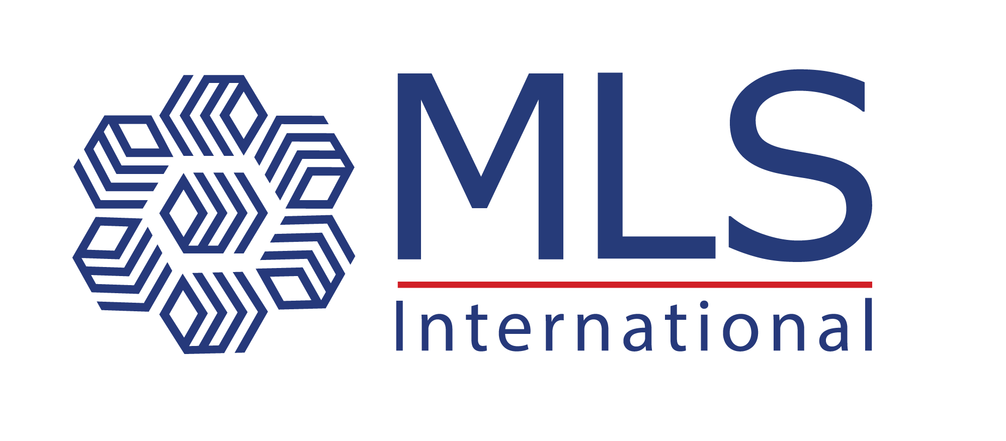 MLS  International Consultancy